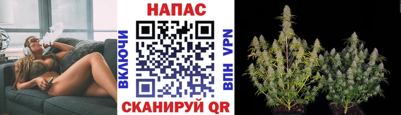 Экстази Щигры