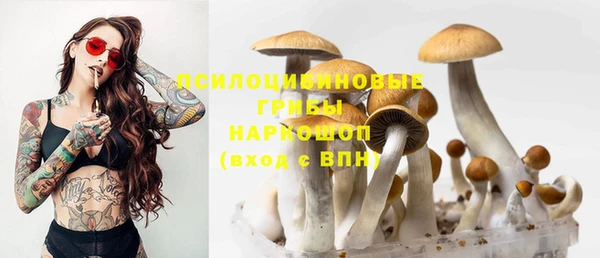 ECSTASY Навашино