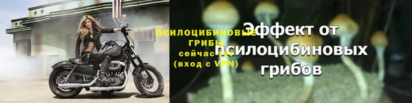 стафф Нея