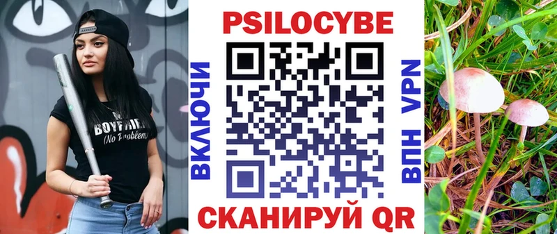 Псилоцибиновые грибы GOLDEN TEACHER  продажа наркотиков  Щигры 